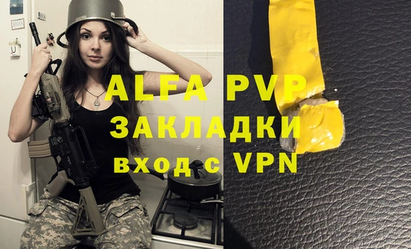 spice Новодвинск