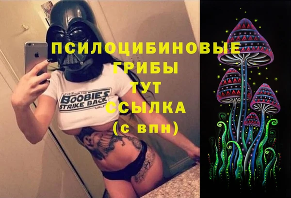 ECSTASY Алексеевка