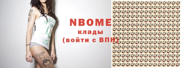СК Алексин