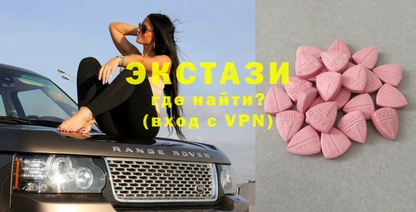 СК Алексин
