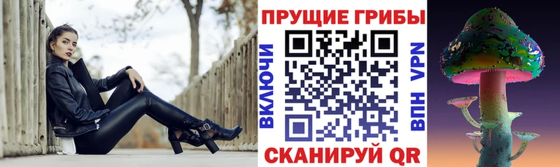 купить  сайты  Иланский  Галлюциногенные грибы мухоморы 