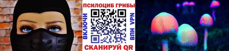 Галлюциногенные грибы Cubensis Иланский